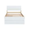 Modern Twin Bed Frame With Trundle For White High Gloss Headboard and Footboard With Light Oak Color