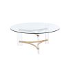ACME Sosi Coffee Table , Gold Finish LV01083